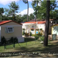 Camping Sous Les Pins