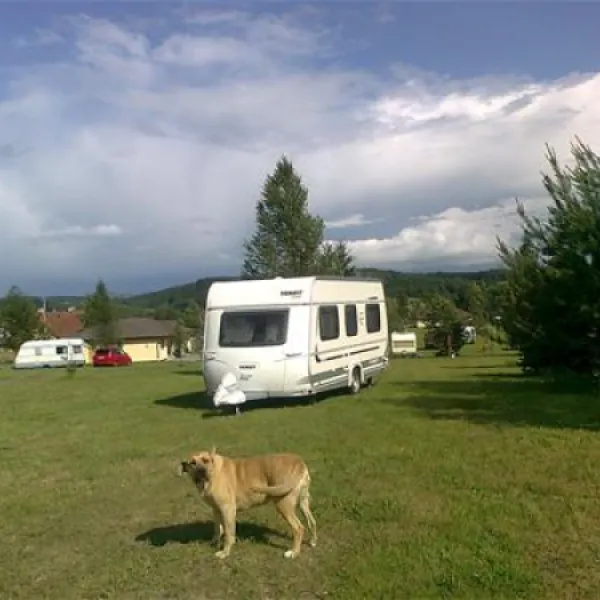 autocamp-sasanka-sadov-t8usz