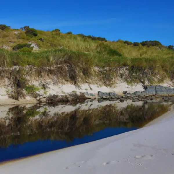 policemans-point-campground-ansons-bay-frgxq