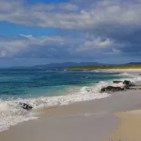 policemans-point-campground-ansons-bay-mtmif