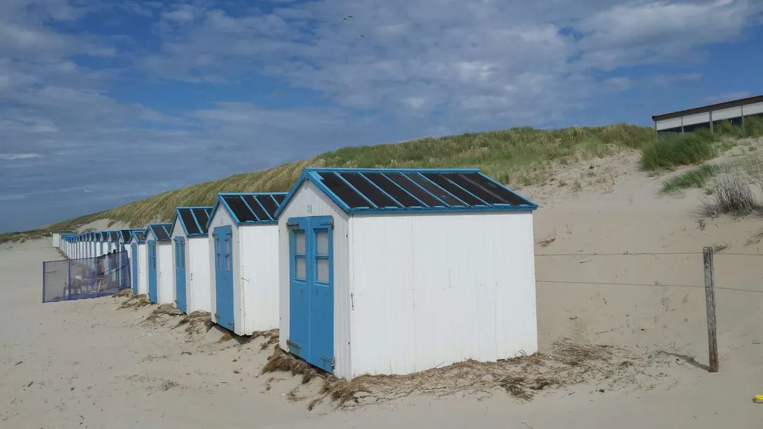 rhoon-texel-oy5ww