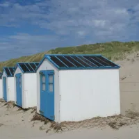 rhoon-texel-oy5ww