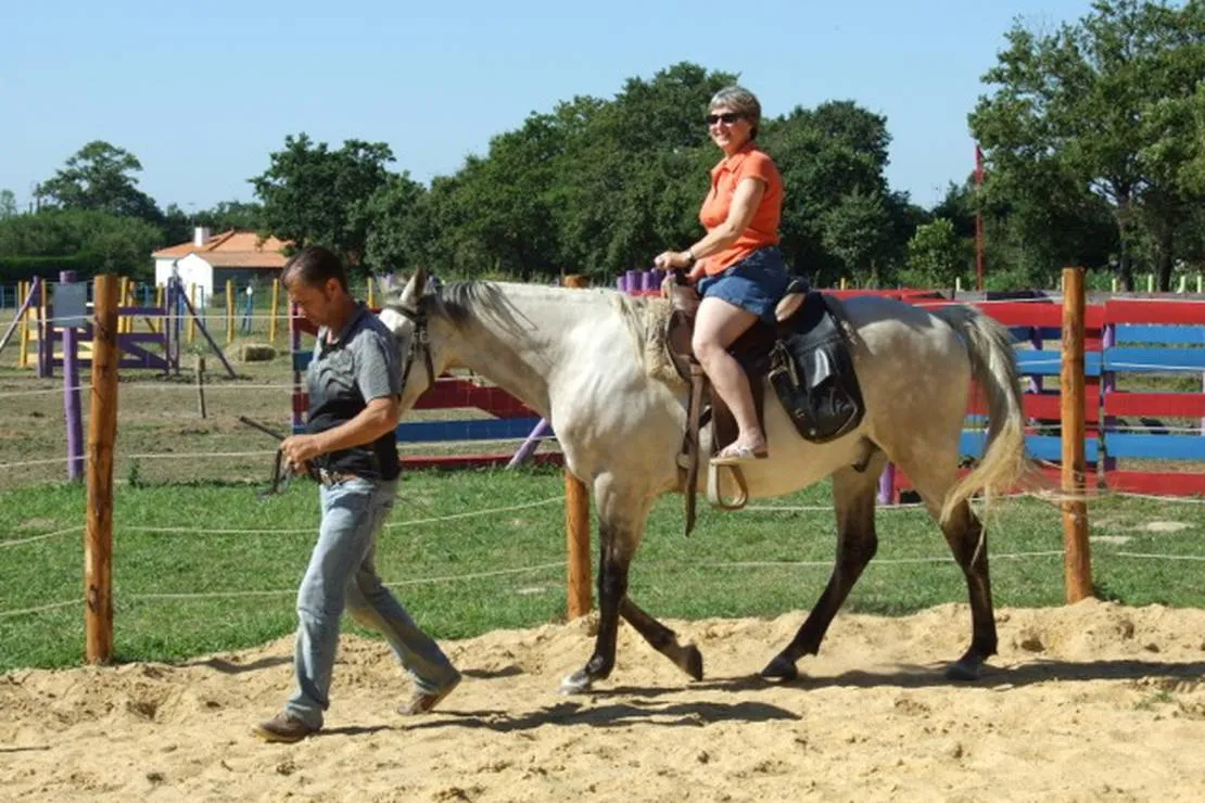 camping-les-ptites-maisons-dans-la-prairie-sallertaine-ruviu