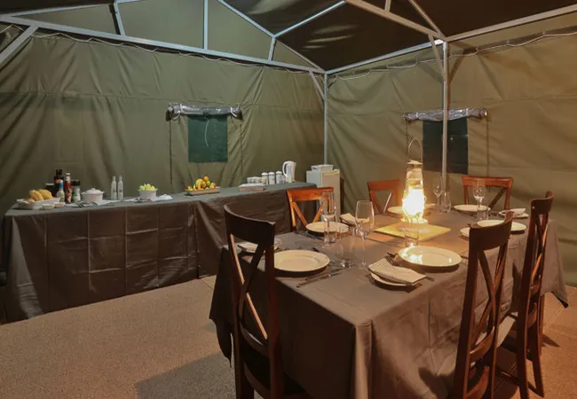 tented-adventures-pilanesberg-pilanesberg-national-park-mogwase-1lhmo