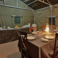 tented-adventures-pilanesberg-pilanesberg-national-park-mogwase-1lhmo
