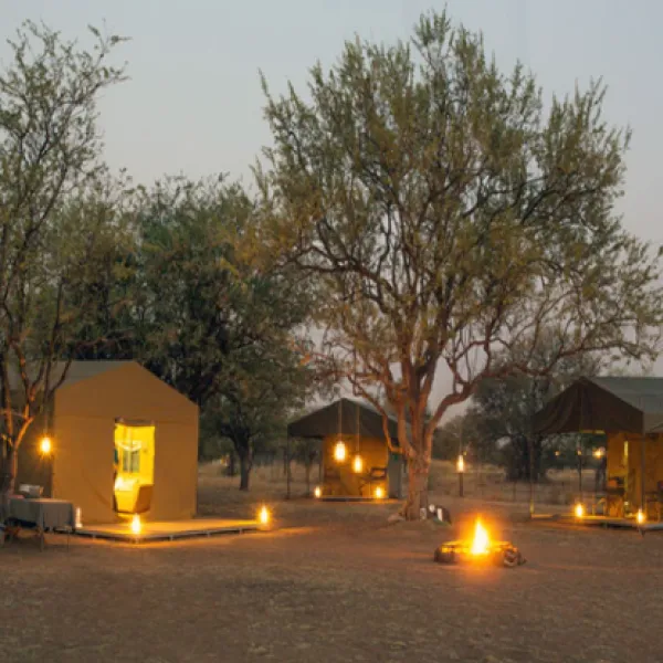 tented-adventures-pilanesberg-pilanesberg-national-park-mogwase-6u5nt