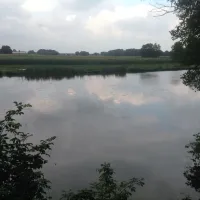 huntesee-drebber-lsly5