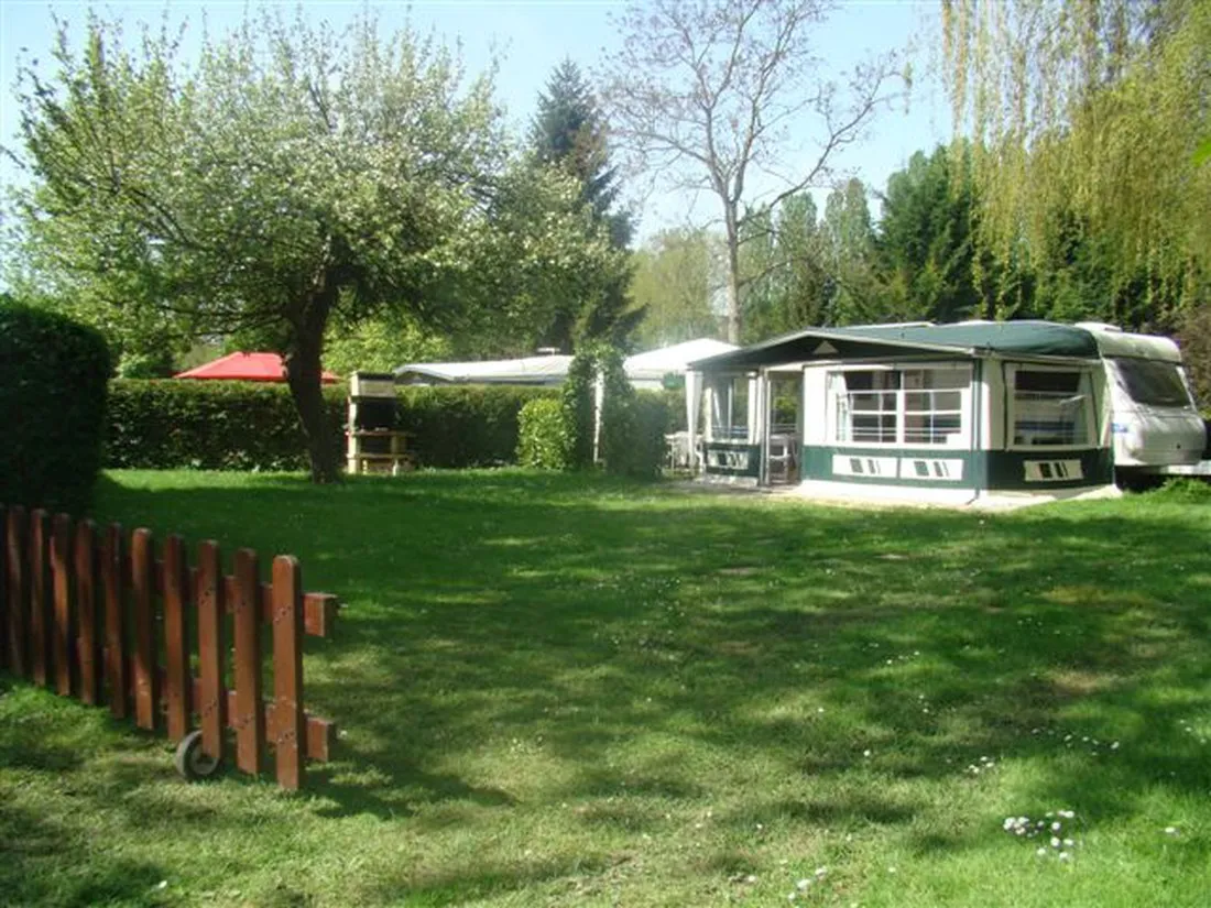 lile-demoiselle-annet-sur-marne-joggu