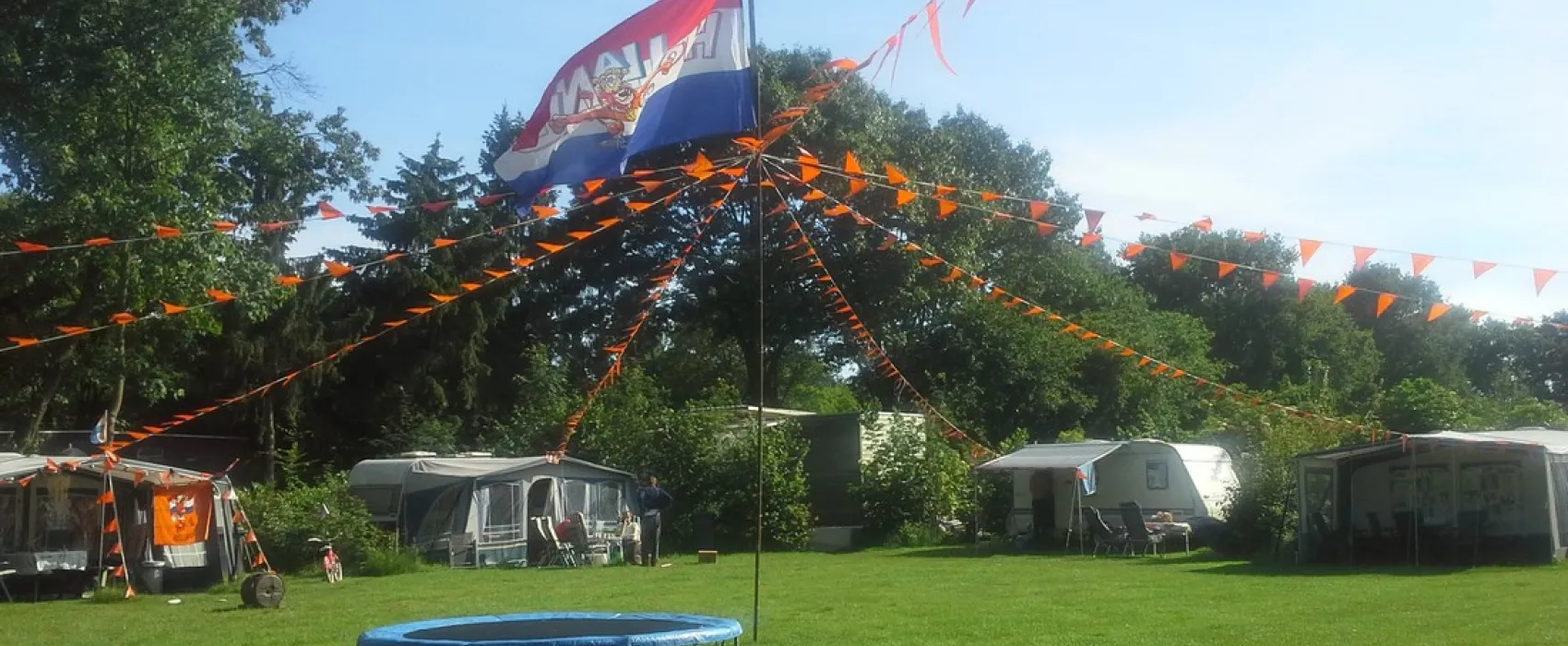 Bruinsbergen