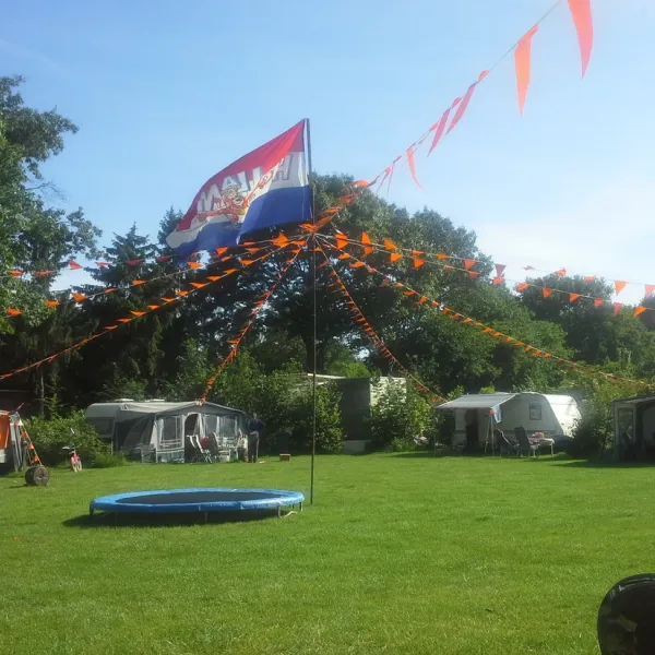 bruinsbergen-grave-camuv