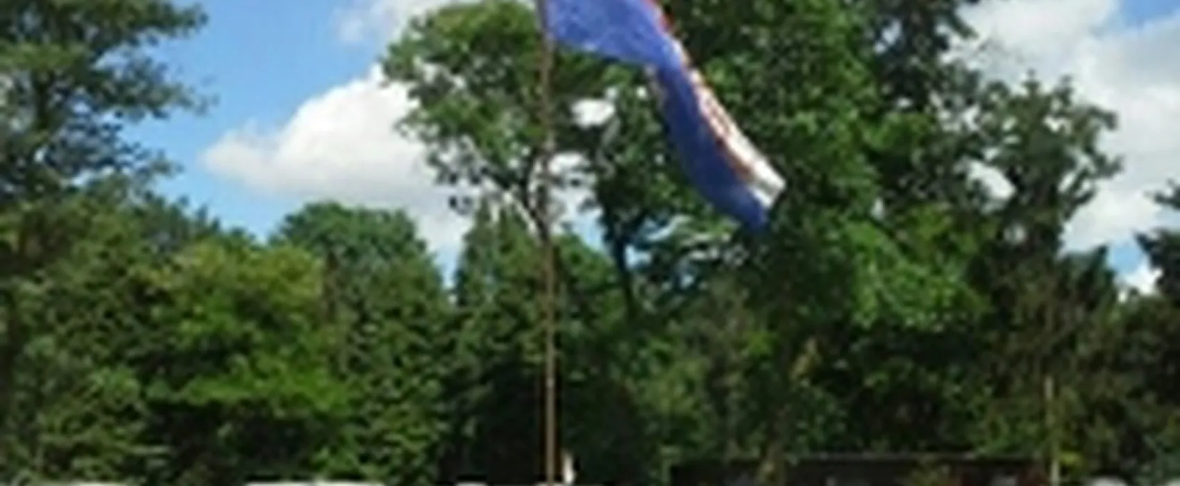 Bruinsbergen