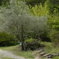 le-pradal-les-vans-nbrpj