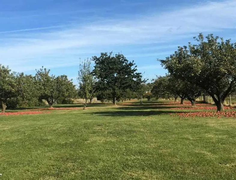 five-acres-certificated-site-sittingbourne-bfhx8