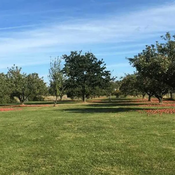 five-acres-certificated-site-sittingbourne-bfhx8