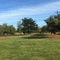 five-acres-certificated-site-sittingbourne-bfhx8