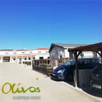 los-olivos-camping-park-alcala-de-xivert-bierf
