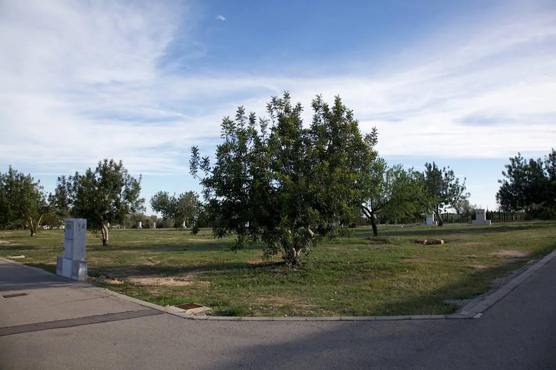 los-olivos-camping-park-alcala-de-xivert-djyhj