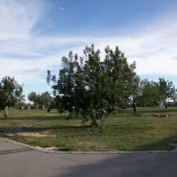 los-olivos-camping-park-alcala-de-xivert-fgxvs