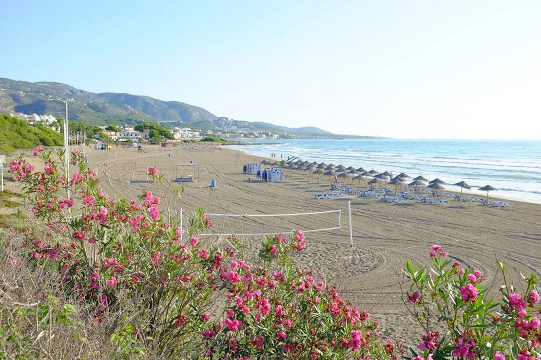 los-olivos-camping-park-alcala-de-xivert-nmx0h