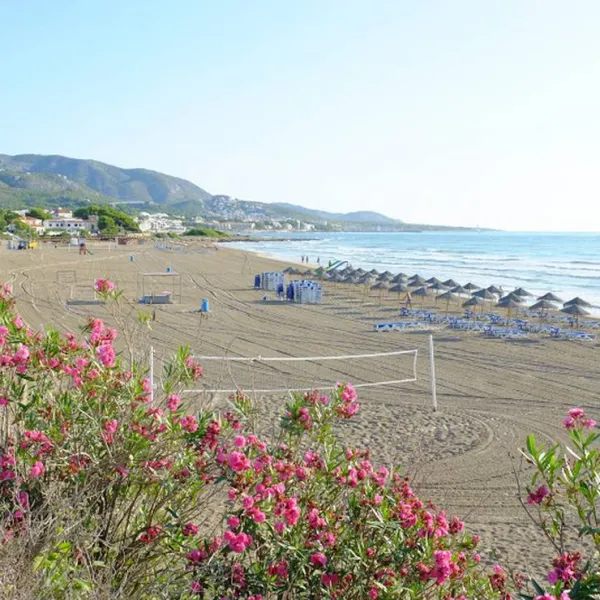 los-olivos-camping-park-alcala-de-xivert-nmx0h