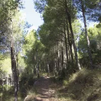 los-olivos-camping-park-alcala-de-xivert-znovo