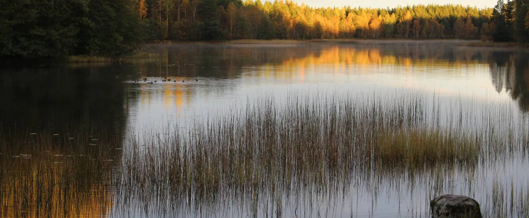 Ydrefors Camping
