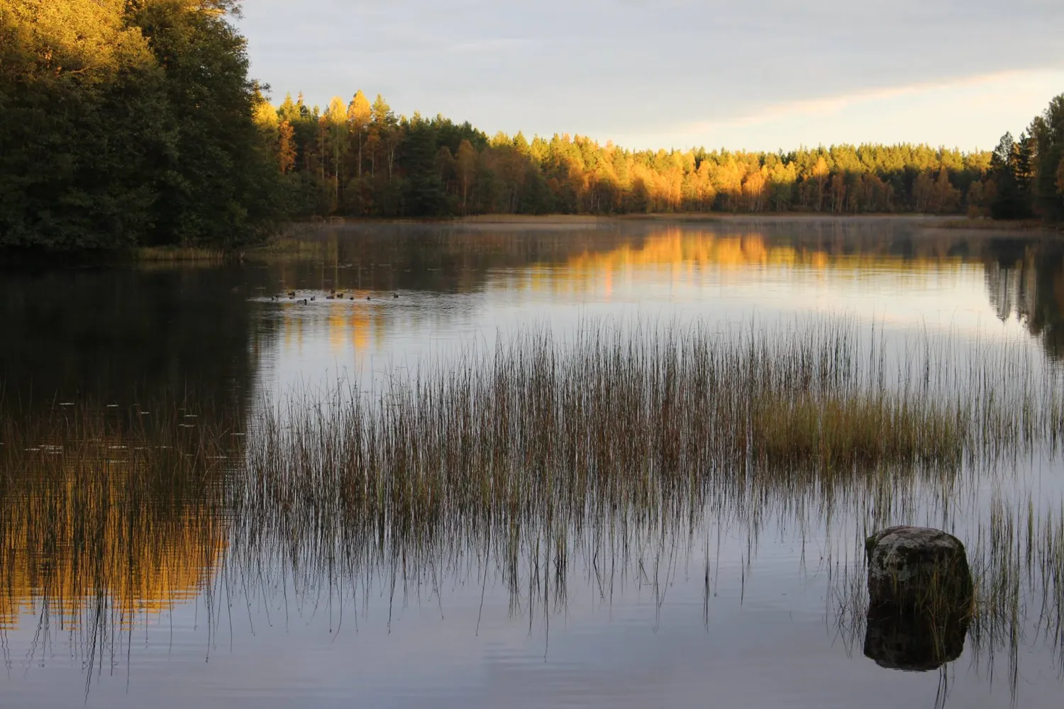 ydrefors-camping-gullringen-xtuut