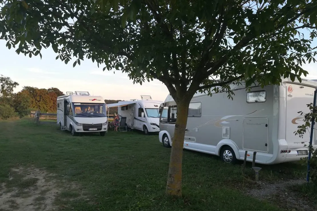 camp-vinia-bjelovar-puricani-cqovl