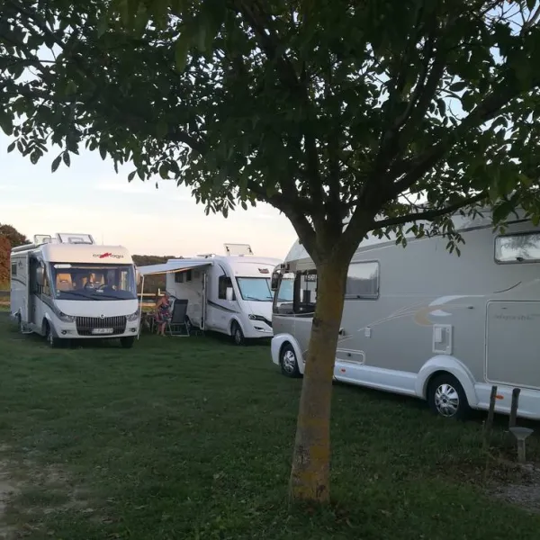 Camp Vinia
