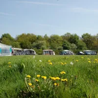 Minicamping Hoeve de Maasduinen