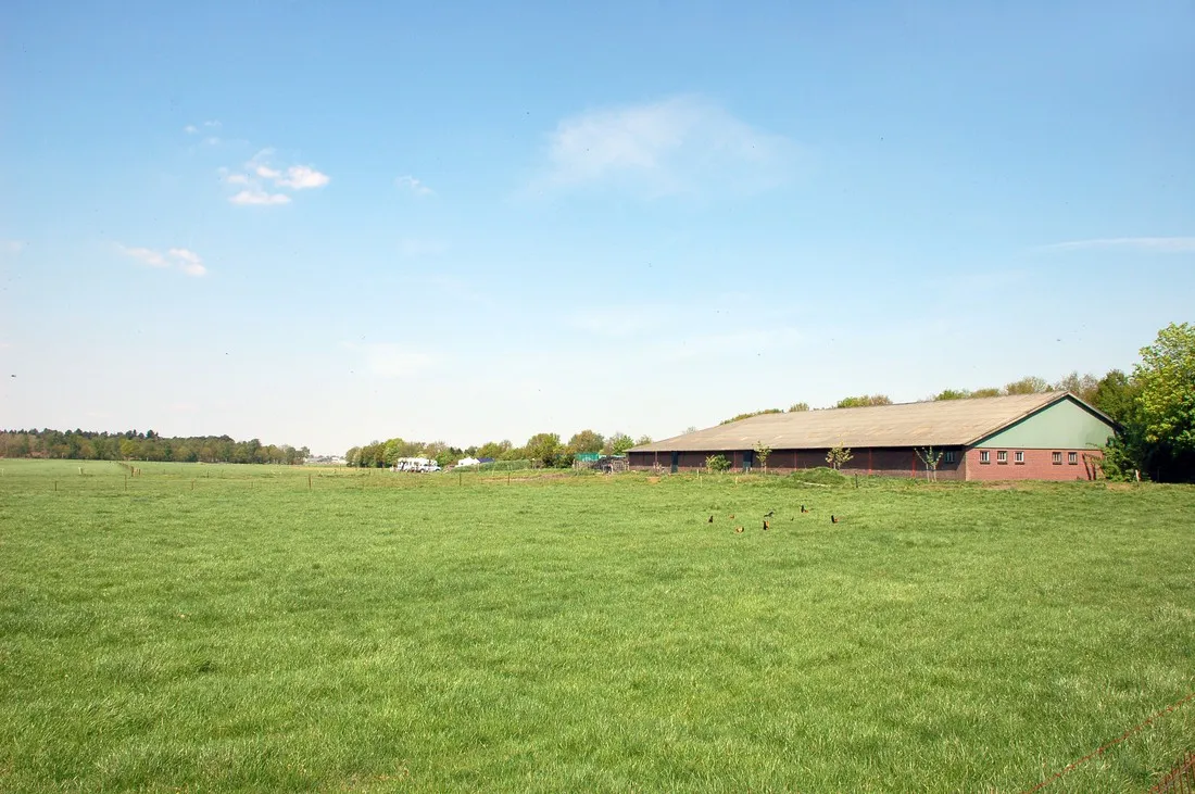 minicamping-hoeve-de-maasduinen-wellerlooi-f3rde