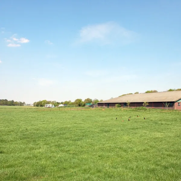 minicamping-hoeve-de-maasduinen-wellerlooi-f3rde