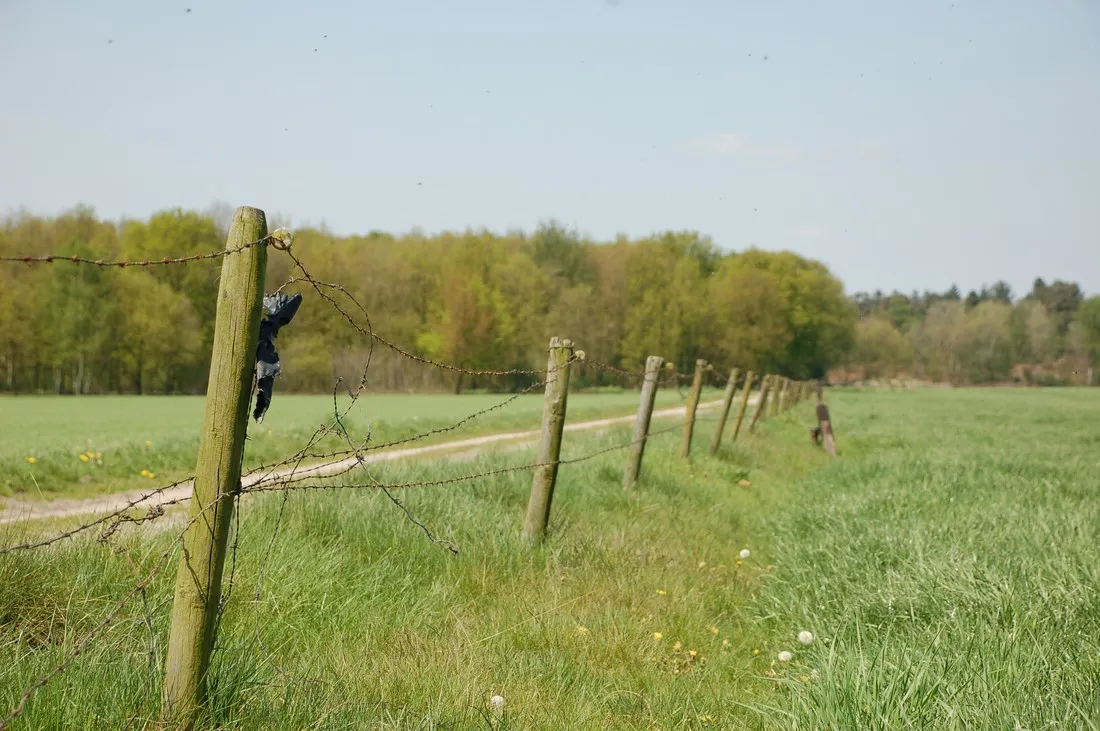 minicamping-hoeve-de-maasduinen-wellerlooi-wros0