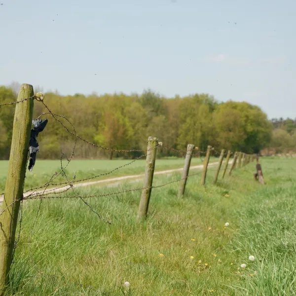 minicamping-hoeve-de-maasduinen-wellerlooi-wros0