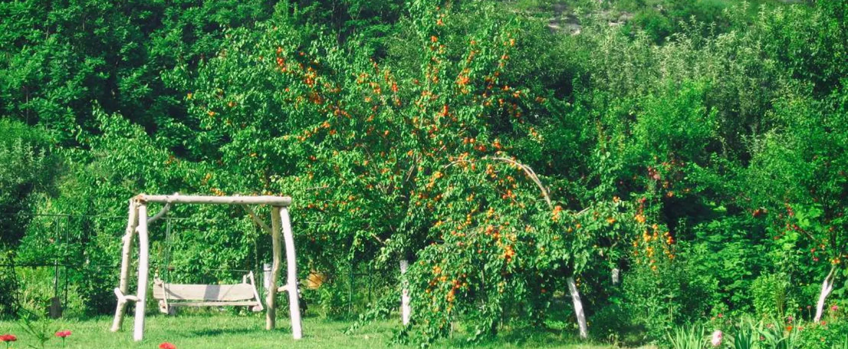 Camping Vila Roz