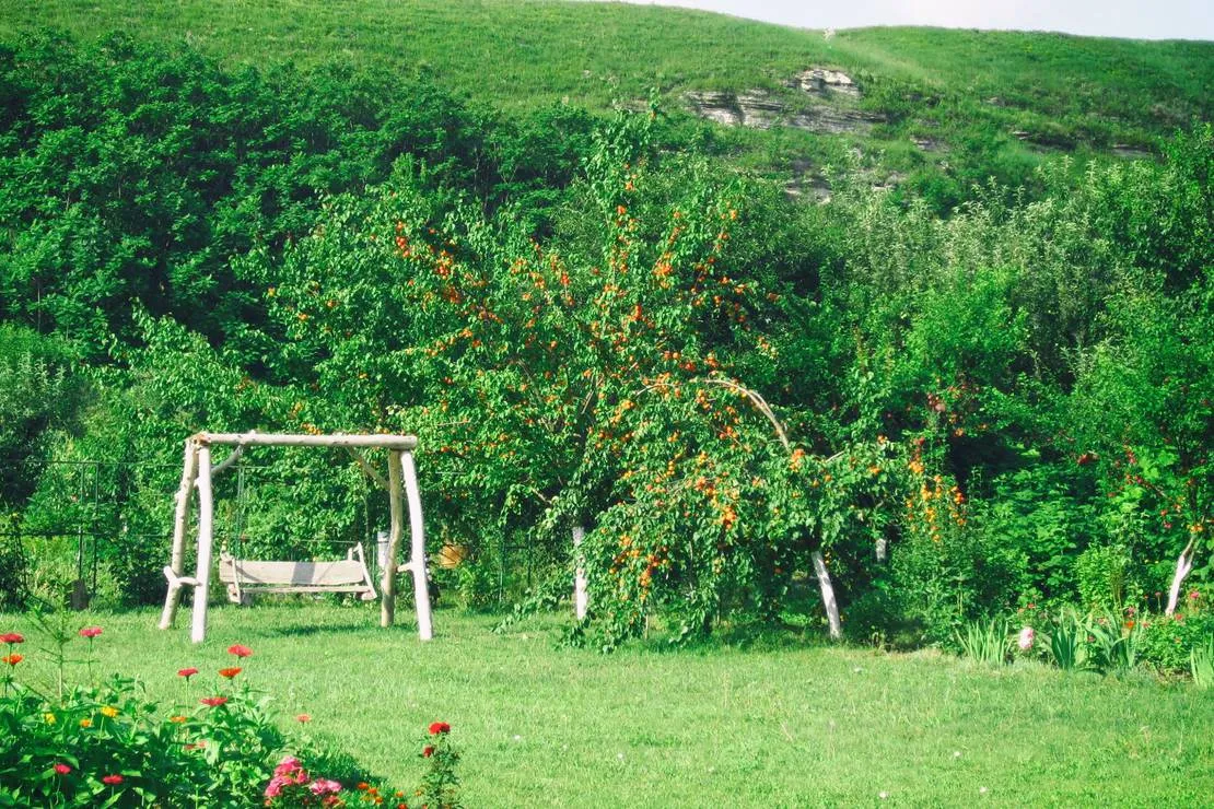 camping-vila-roz-trebujeni-village-0vibo