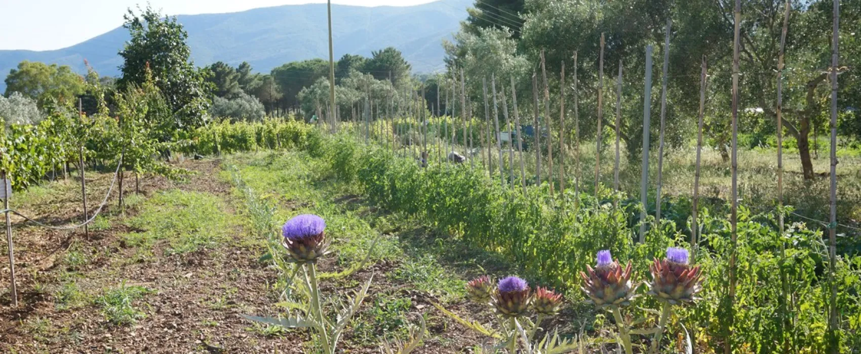 Camping Casa Dei Prati