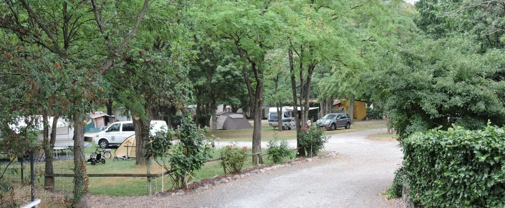 Les Acacias