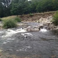 les-acacias-tournon-ardeche-431v8