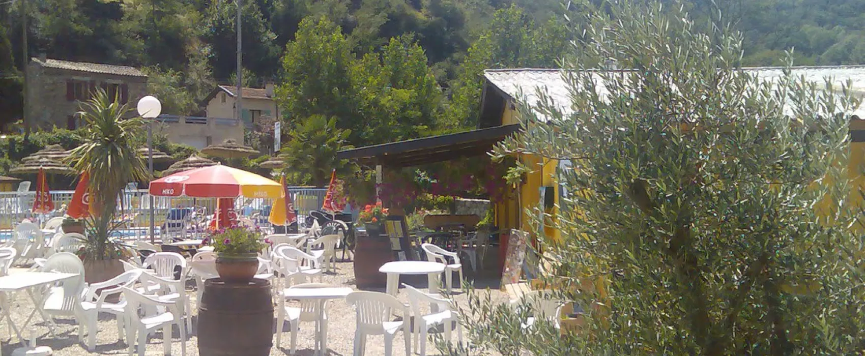 Les Acacias