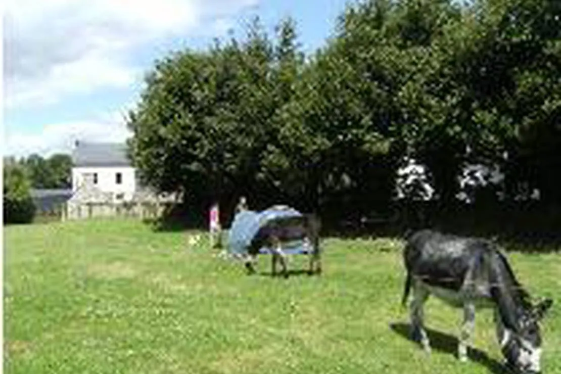 camping-municipal-sainte-brigitte-ste-brigitte-sccl2