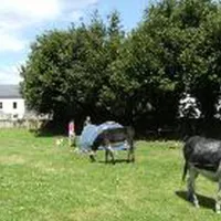 Camping Municipal Sainte- Brigitte