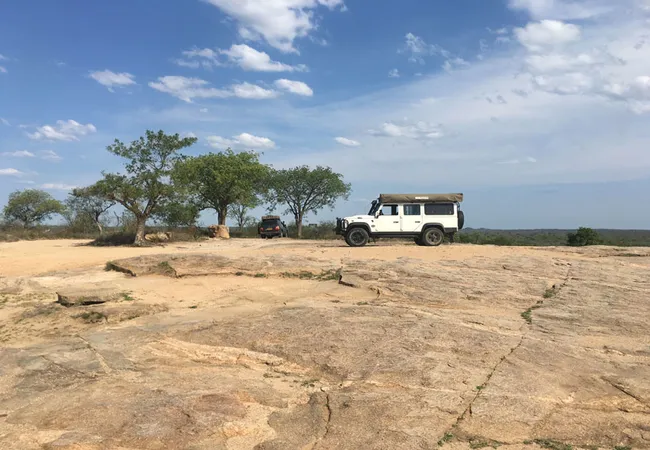 gecko-kruger-camp-experience-kruger-national-park-skukuza-road-bdgm1
