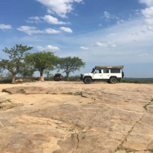 gecko-kruger-camp-experience-kruger-national-park-skukuza-road-bdgm1