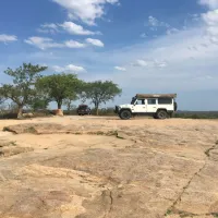 gecko-kruger-camp-experience-kruger-national-park-skukuza-road-bdgm1