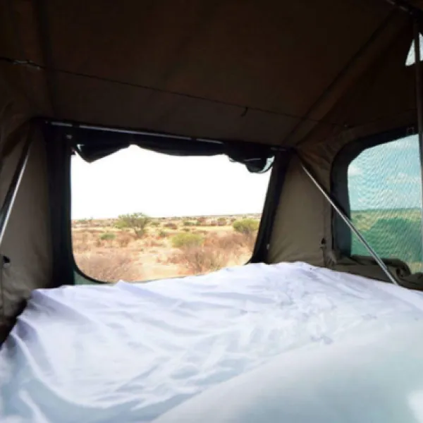 gecko-kruger-camp-experience-kruger-national-park-skukuza-road-eytgm