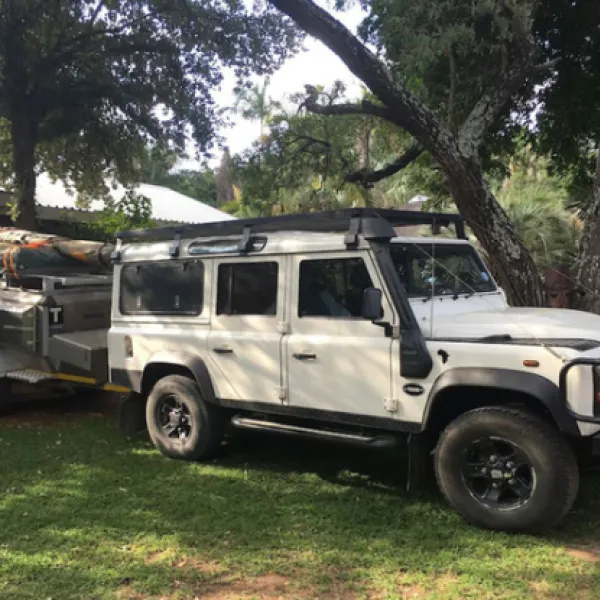 gecko-kruger-camp-experience-kruger-national-park-skukuza-road-qs5sl