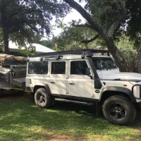gecko-kruger-camp-experience-kruger-national-park-skukuza-road-qs5sl