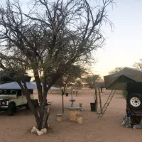 Gecko Kruger Camp Experience