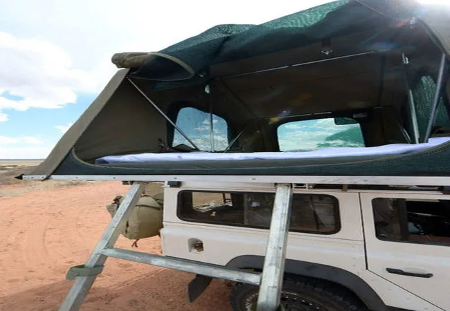 gecko-kruger-camp-experience-kruger-national-park-skukuza-road-xpsqr